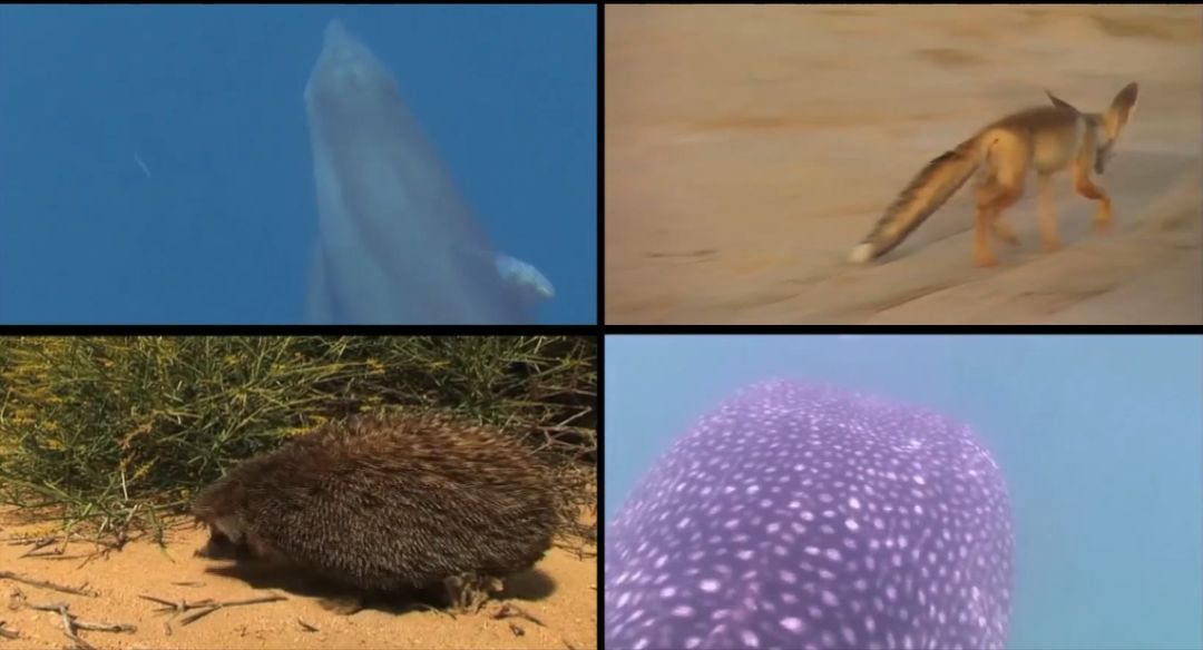 bifa·必发(中国区)唯一官方网站