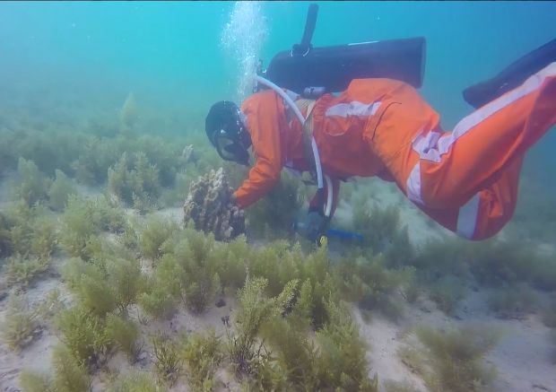 bifa·必发(中国区)唯一官方网站