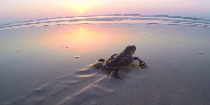 bifa·必发(中国区)唯一官方网站