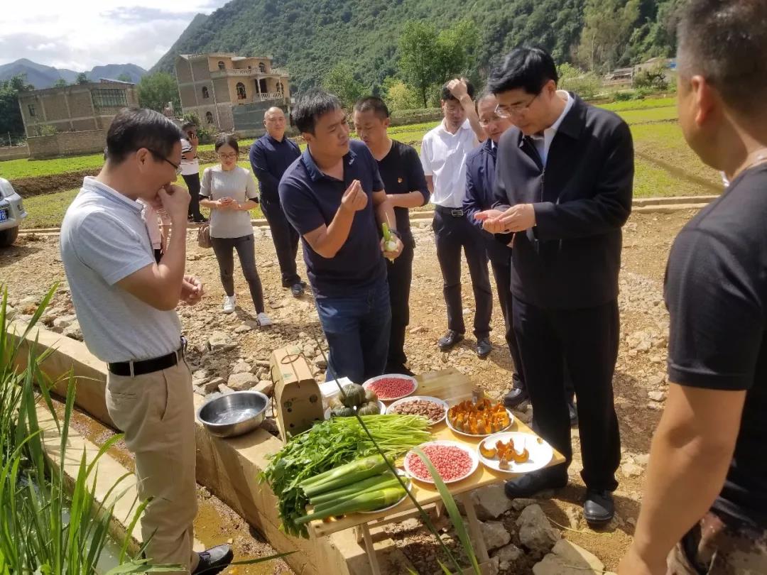 bifa·必发(中国区)唯一官方网站