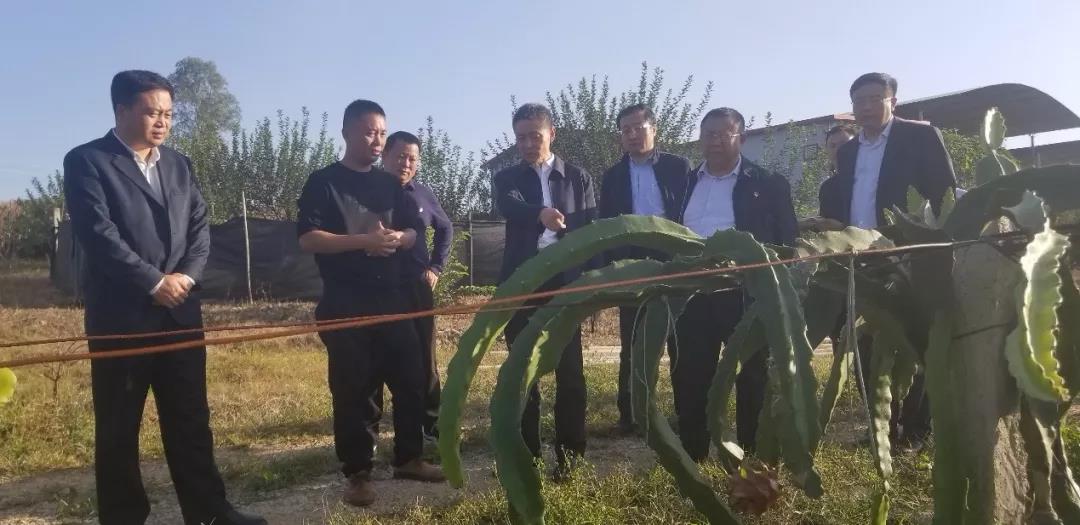 bifa·必发(中国区)唯一官方网站